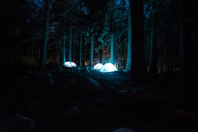 三个圆顶帐篷与光之间的森林

